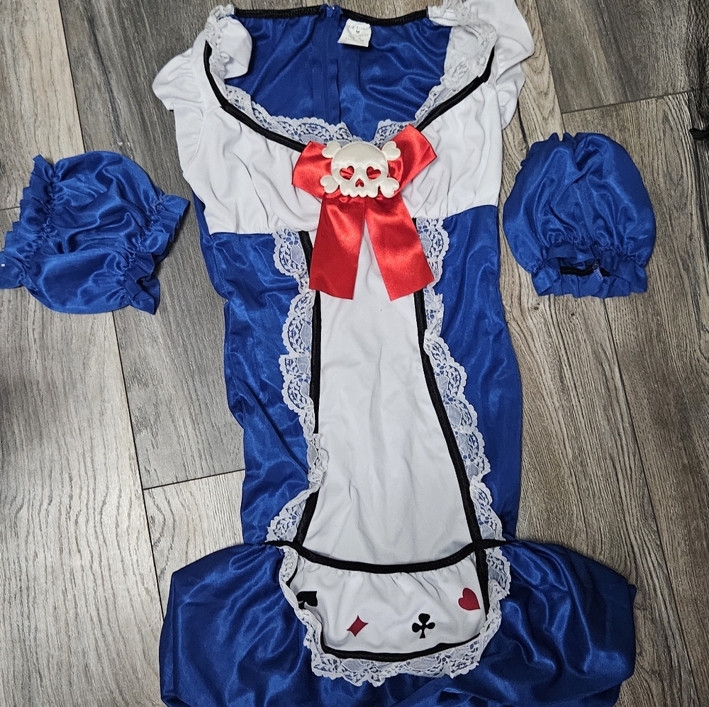 Y2K Vintage Leg Avenue Hot Topic Alice in Wonderland Costume Size M Halloween